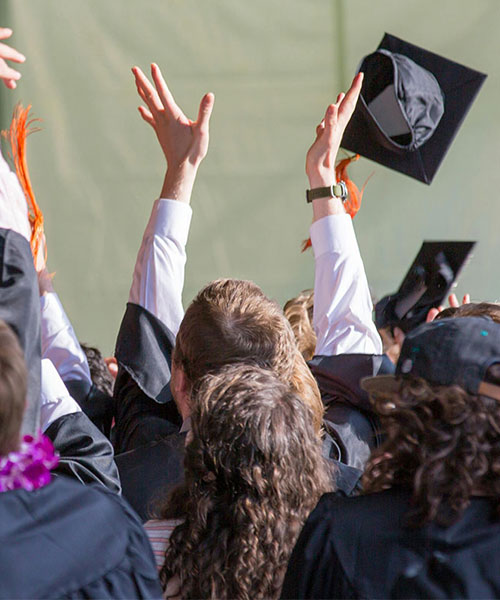 探索更广阔的世界
Explore a wider world